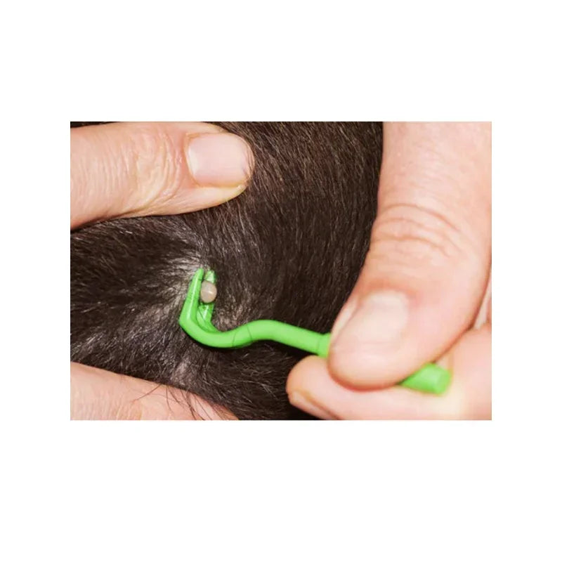 3pcs Flea Remover Hook Tick Remover Tweezer Tick Pull Pet Cat Dog Accessaries Tick Tool Pet Mites Flea Extractor Pet Supplies